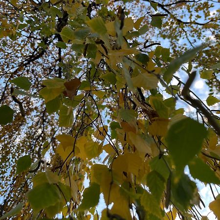 Sol I Neu Apartment เอิงคาม ภายนอก รูปภาพ
